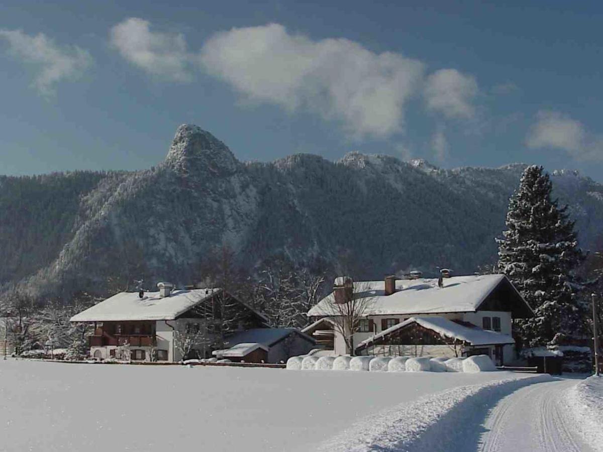 Bergnest *