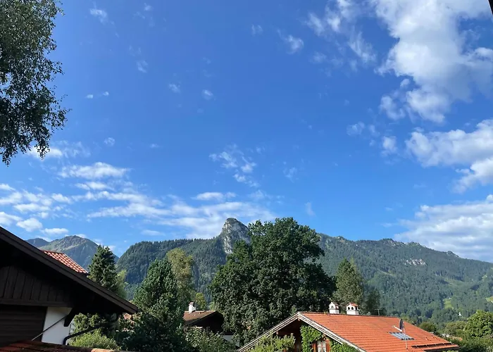 Bergnest